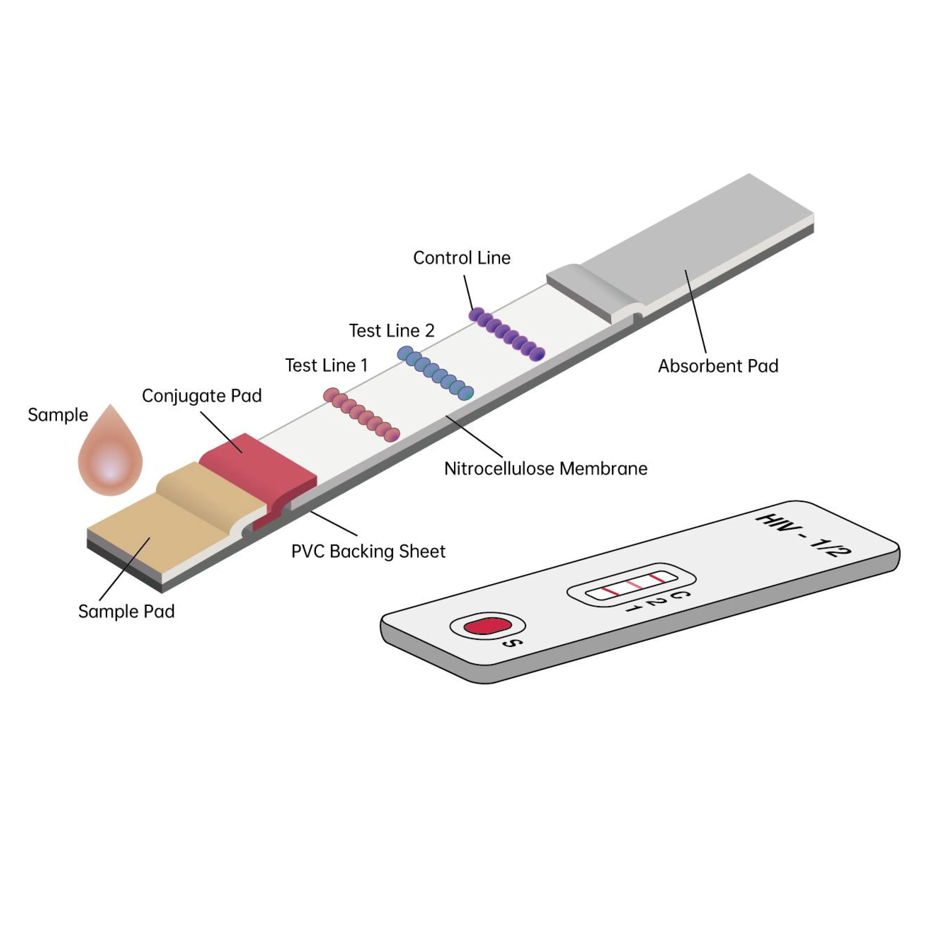 Hirikon Hot Sale Colloidal Gold Immunofluorescence Test For Tropical Diseases Drugs Of Abuse Fertility Veterinary