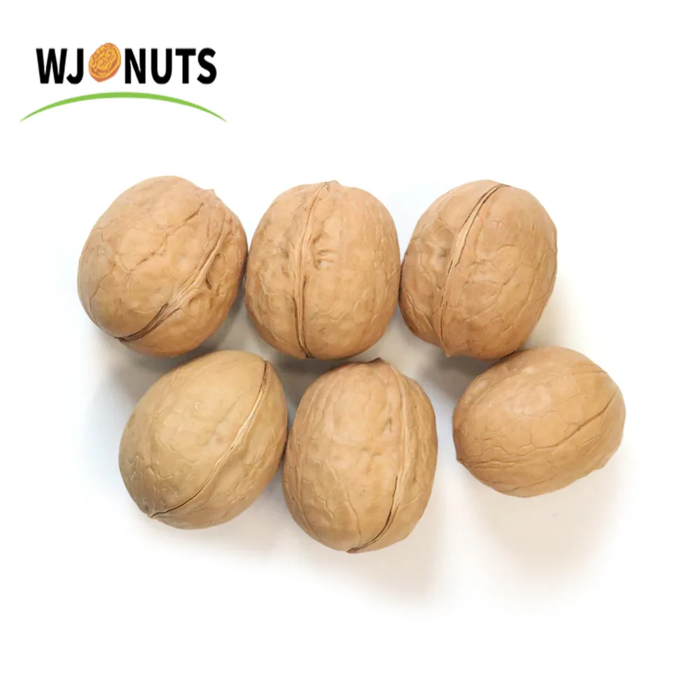 High quality walnut kernels 100% natural chinese shell walnuts kernels