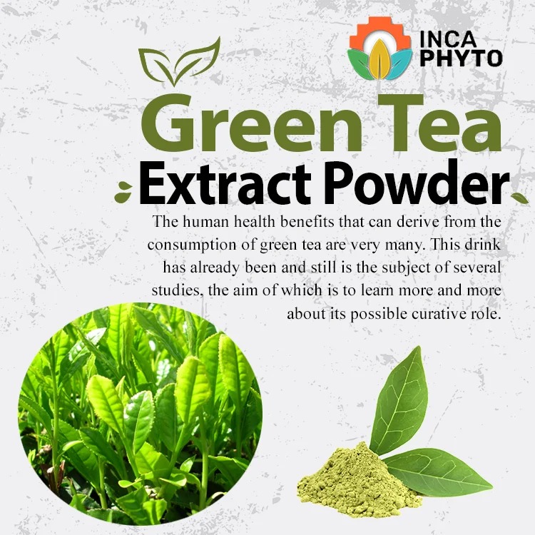 
Порошок экстракта зеленого чая 