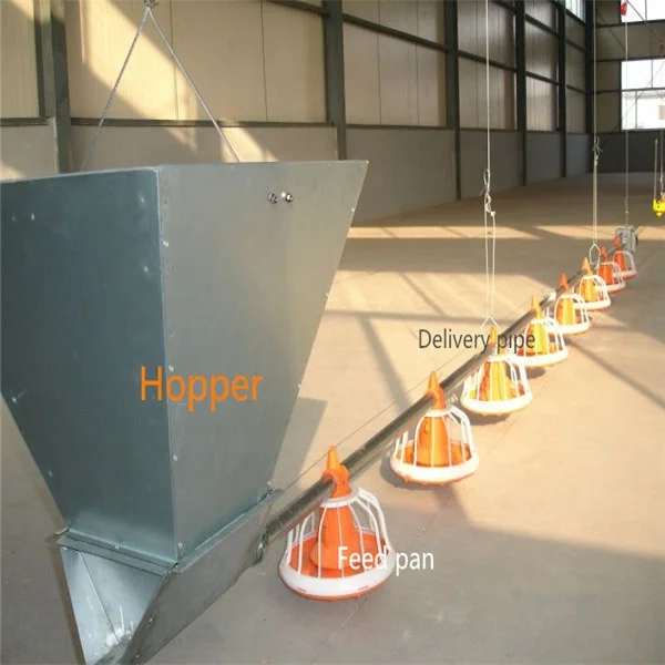 High Quality Fully Automatic Broiler Farm Chicken Feeding Line for Poultry Feed System