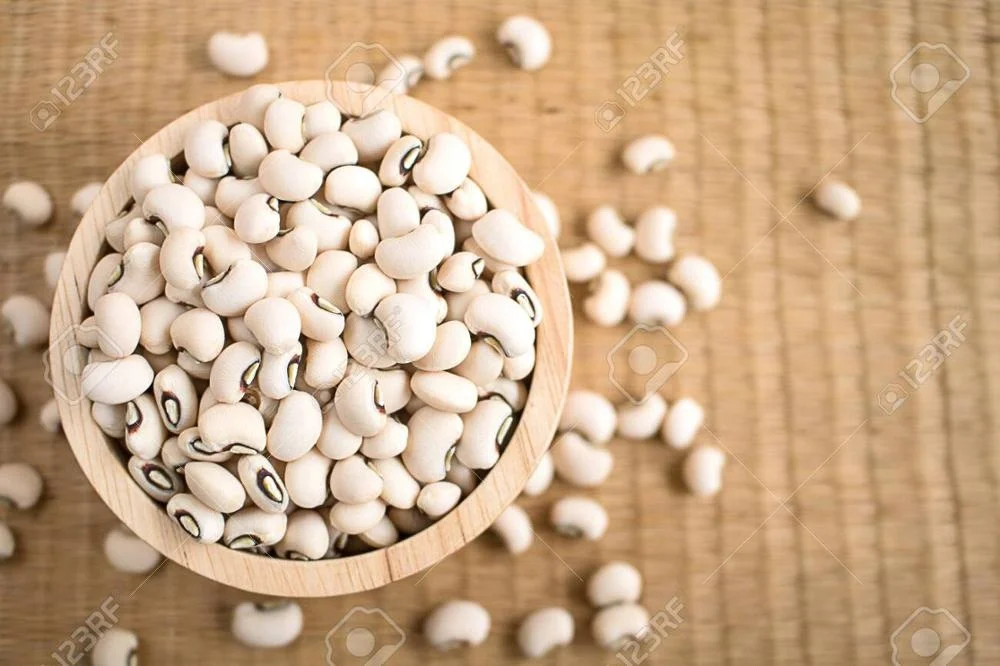 Premium Quality Madagascar Black Eye Beans for fooding purpose