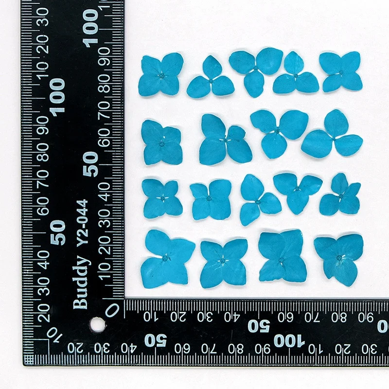 Wholesale Diy Handmade Nail Art Material dried flowers pressed Anna hydrangea flower for Bookmark and Phone case
