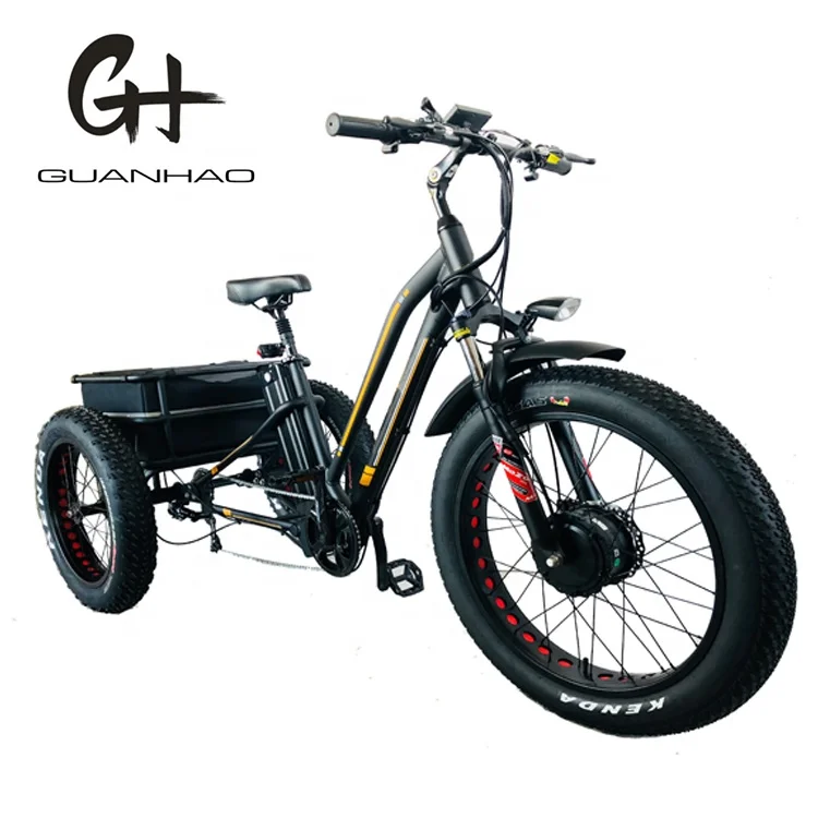  24inch Fat Tire Adult 3Wheel 48V1000W China tricycle OEM CE CPSC EN15194 21AH 3 Wheel Cargo Electric