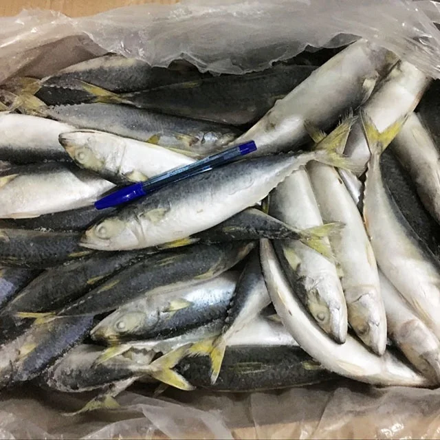 Высокое качество скумбрия и сардины рыбы
