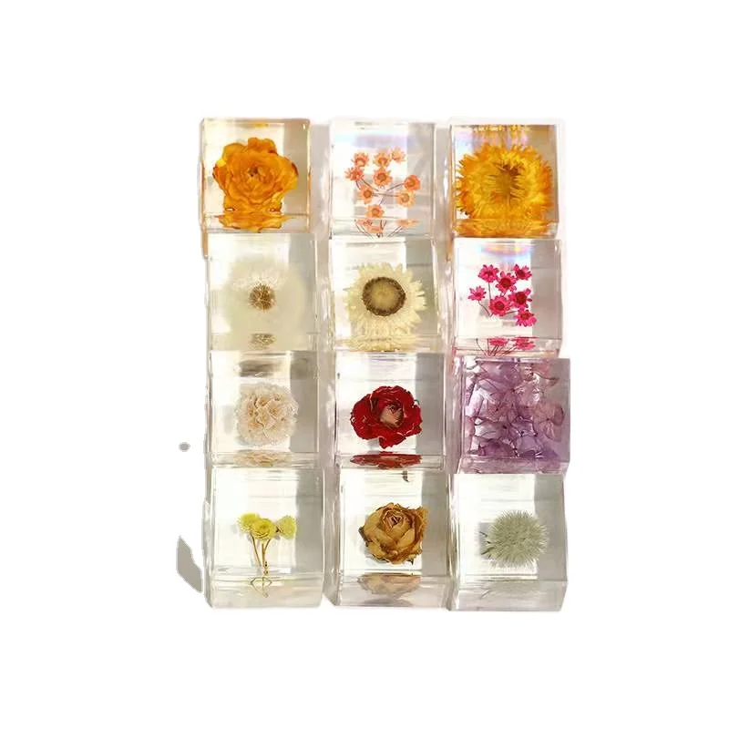 Лидер продаж, образцы настоящих насекомых из смолы с изображением животных и растений