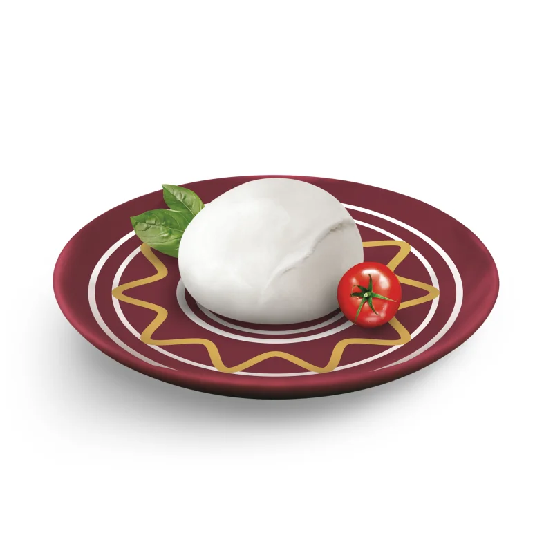 Italian Quality Guaranteed Mozzarella Buffalo Campana PDO Cheese 125Gr Private Label Dairy Products