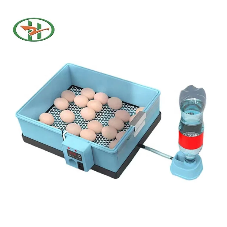 Hongzhou 2023 Cheap Price Quail Eggs Family Type Auto High Hatching Rate Automatic Chicken Egg Incubator