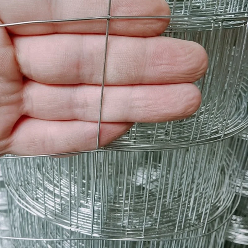 High Quality Hot Dipped Galvanized Welded Wire Mesh 13 Gauge Welded Wire Mesh 304ss 316ss 6mm x 2.4mm Welded Wire Mesh Sheet 14