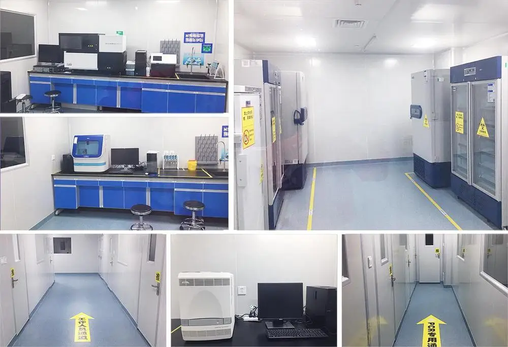 
3-((3-Cholamidopropyl)dimethylammonium)-1-propanesulfonate CAS 75621-03-3 CHAPS 