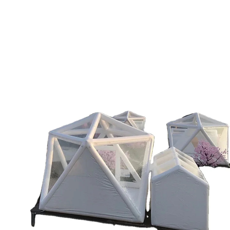 Itax0041outdoor Glamping Exhibit Custom Logo Camping Tent Inflatable Outdoor Travel Hiking Camping Summer Tent 2 Adult >3000 Mm