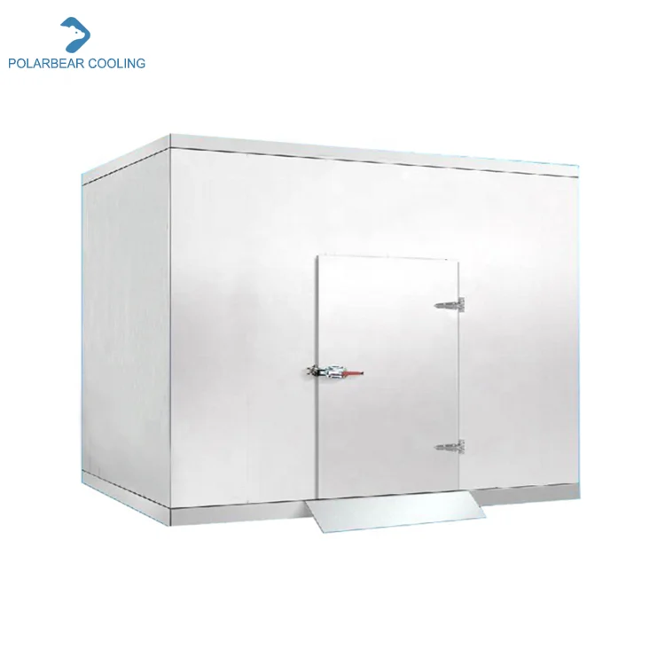 Холодная прогулка в морозильной камере, прогулка в холодильной камере, холодное хранение