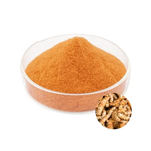Hot Sale Tumeric Extract Powder/100%  Tumeric Curcumin 95% Powder Extract in China