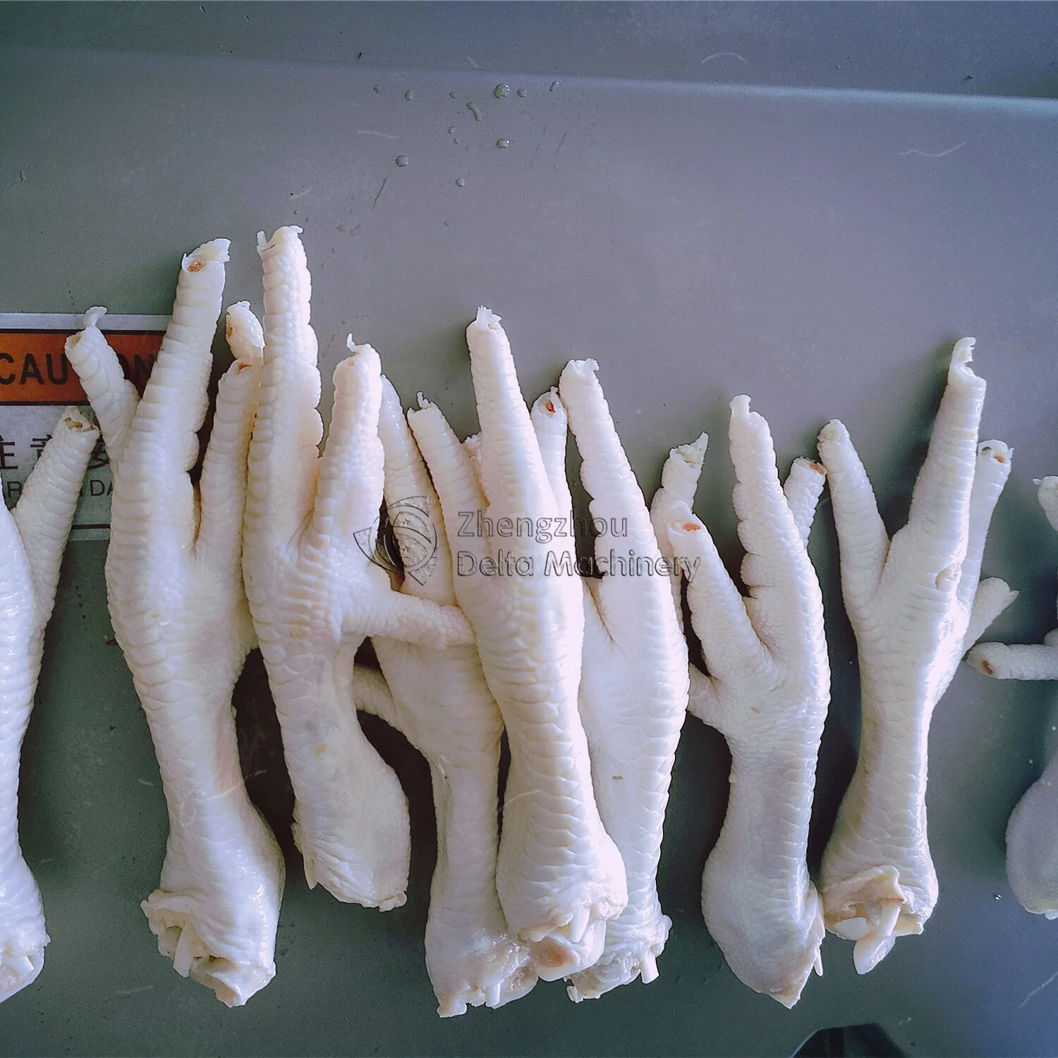 Cheap Price Chicken Feet Toenail Clipper Machine Chicken Paws Nail Cutting Machine Chicken Claws Nails Cutter Machine