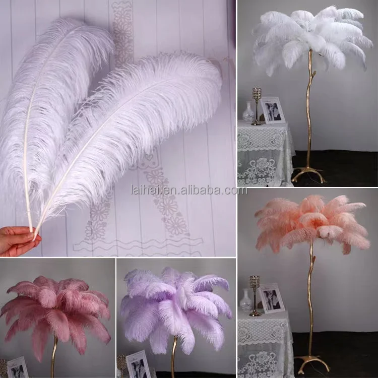 Top Sale 65-70cm Pink Ostrich Feather From South Africa For Carnival Festival