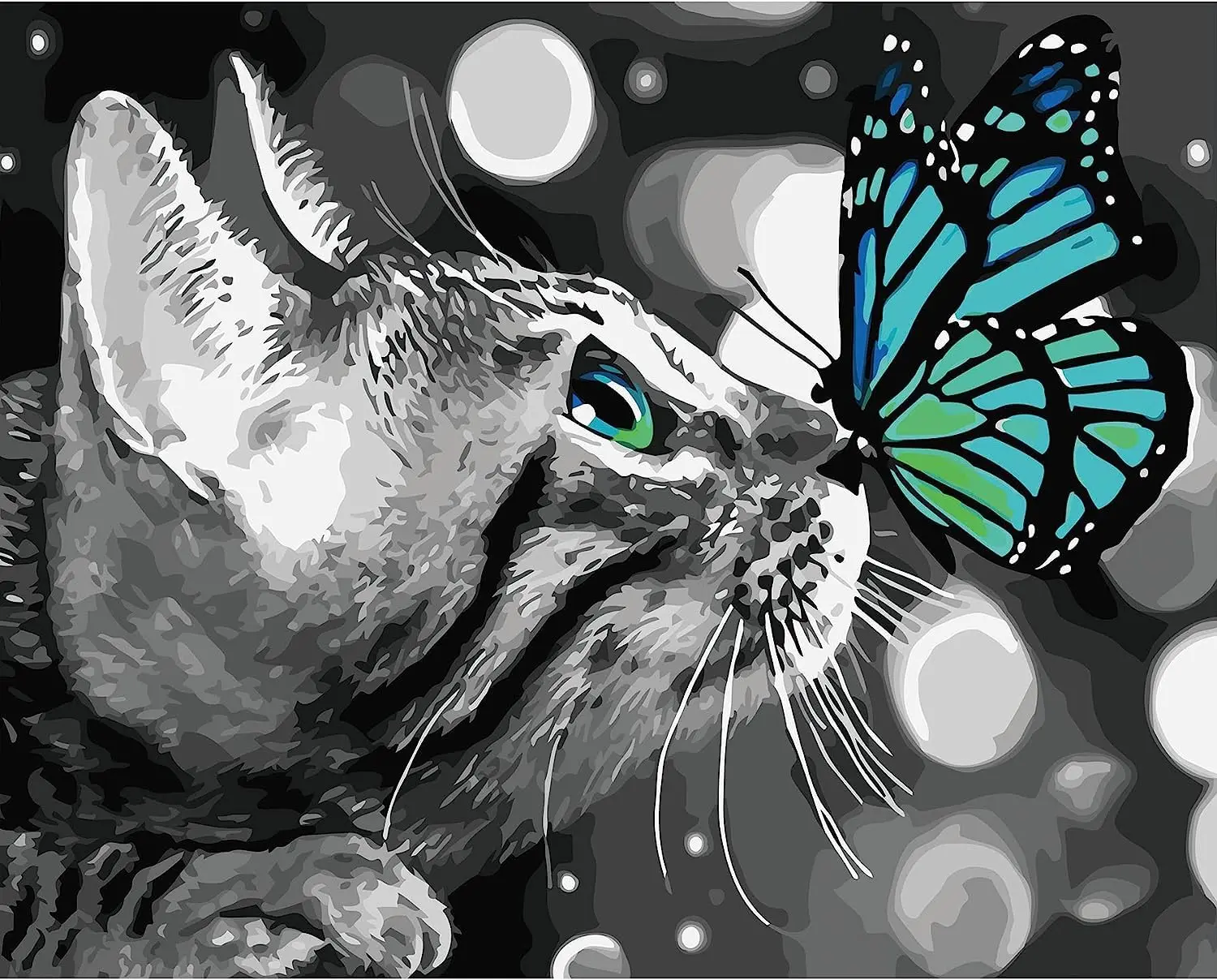 DIY Digital Painting by Numbers paint kit by numbers Oil Painting by Numbers for Adults