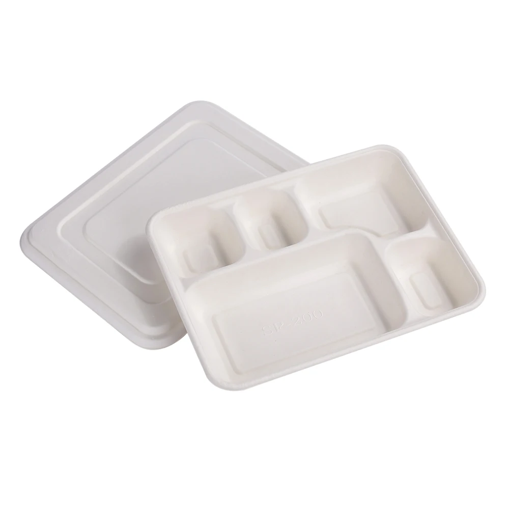 Wholesale 5 compartment disposable bagasse tray for food tableware