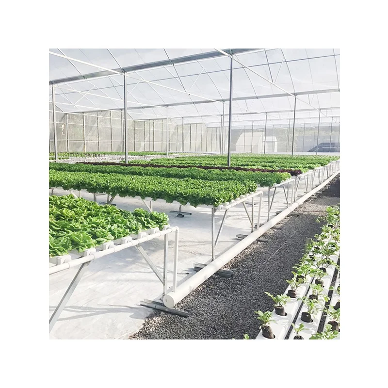 Low cost NFT hydroponics system for vegetable vertical hydroponic growing in greenhouse PVC pipe aquaponic system