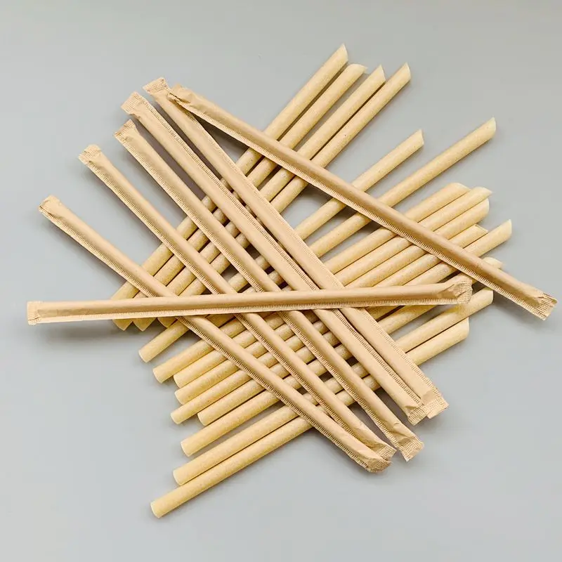 Certified Plants Sugarcane Fiber Compostable Straws Drinking Disposable Alternative Paper Non Plastic Eco Earth