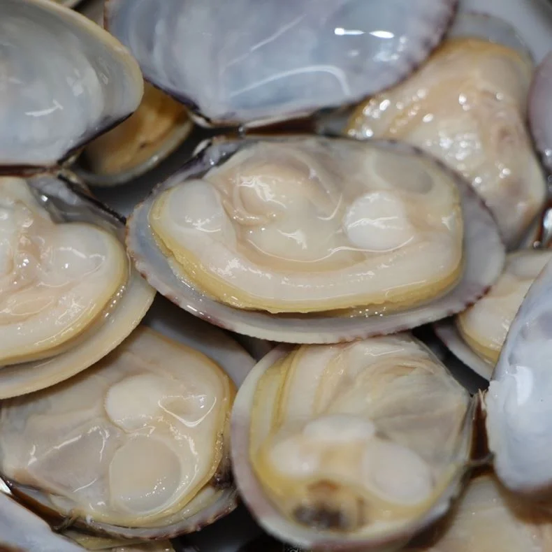 Frozen Seafood Importers Hard Clam Meat In Shellfish
