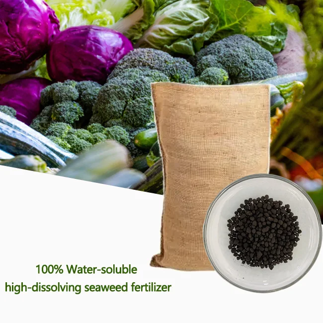 manufacturer fertilizer plant fertilizer seaweed sesmollient extract powder Seaweed Granular Fertilizer 16-0-1