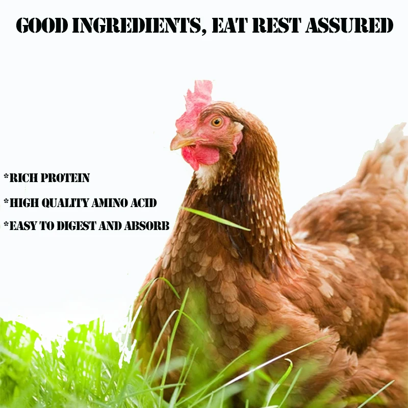 ODM OEM Dog snack   dry dog food beef roll  For training dogs to grind their teeth chicken wrapped cowhells molar stick