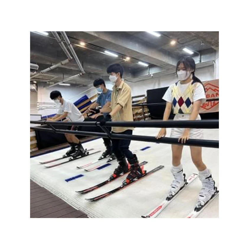 Indoor ski simulators ski machine Gyme Machine