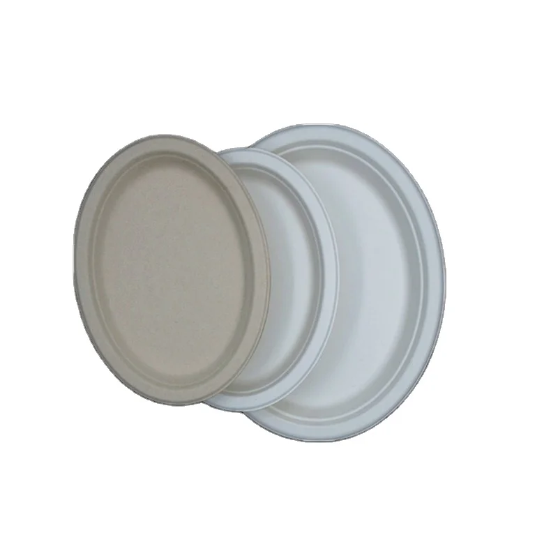 Factory Price 10 Inch Compostable disposable bagasse sugarcane Round plate