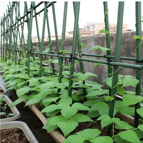 Vine Climbing Support Stick Home Garden Tomato Garden Stakes Garden Climbing Plant Stakes