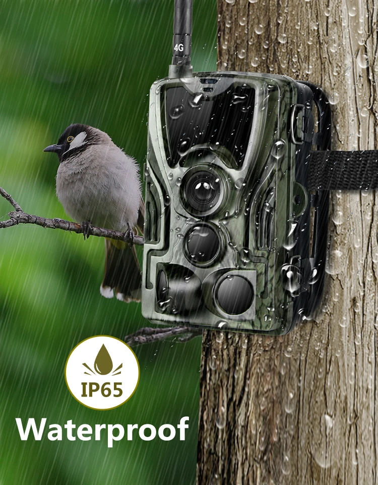 2023 hot sale HC801LTE Willfine  MMS GSM 4G LTE cellular hunting camera 20MP wireless sim trail camera
