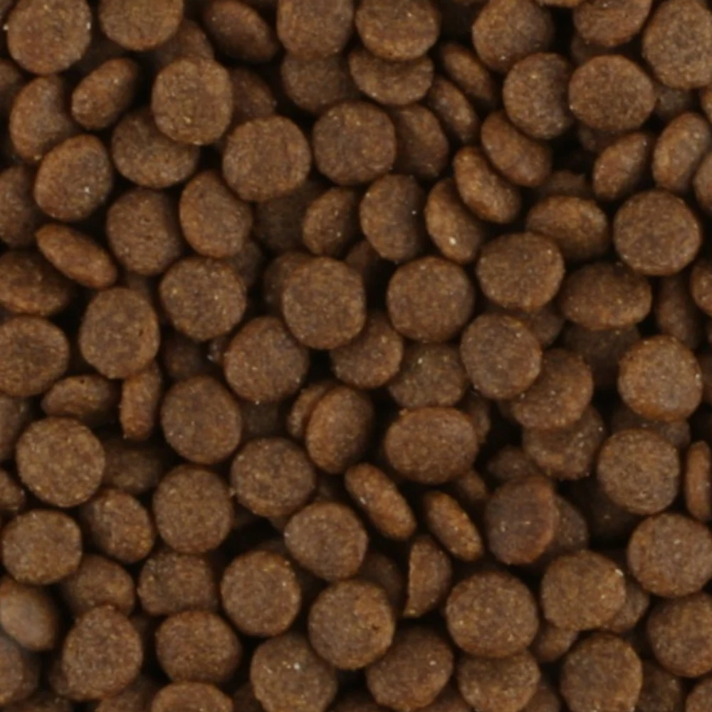 OEM сыпучая Фирменная натуральная котята сухой корм для кошек 20 кг 10 5 курица лосось говядина тунец