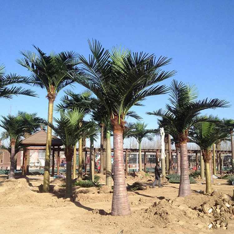High Simulation Big Fake Leaves Plants Outdoor Large Coconut Artificial Palm Trees For Home Garden Coastal Decor 2m 3m 4m 5m 6m