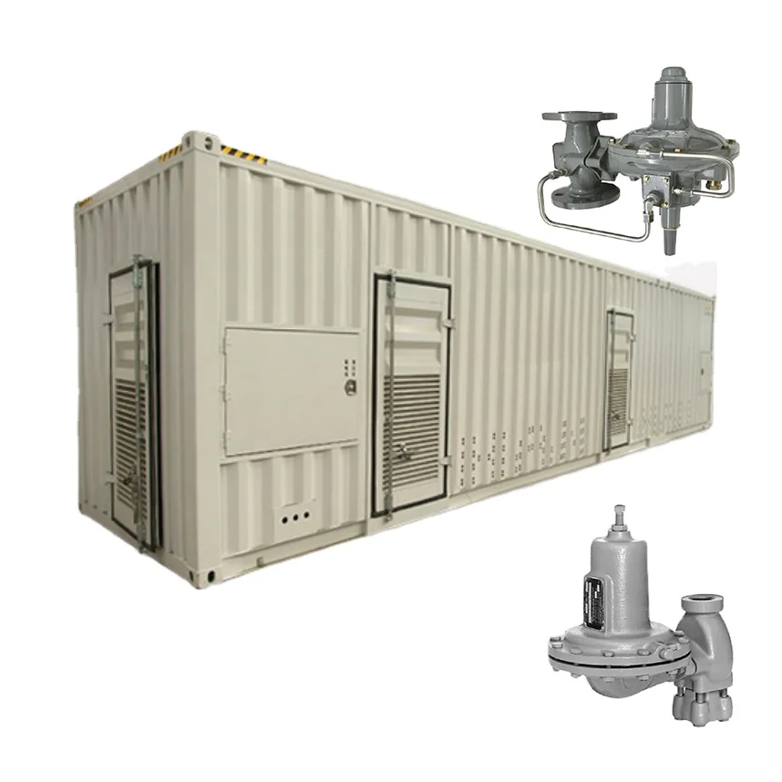 Natural Gas Valve Skid Emerson Fisher Type 630 Regulator WIKA pressure gauge