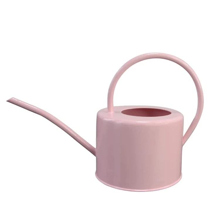 custom wholesale various colors galvanized steel metal 1L garden watering can