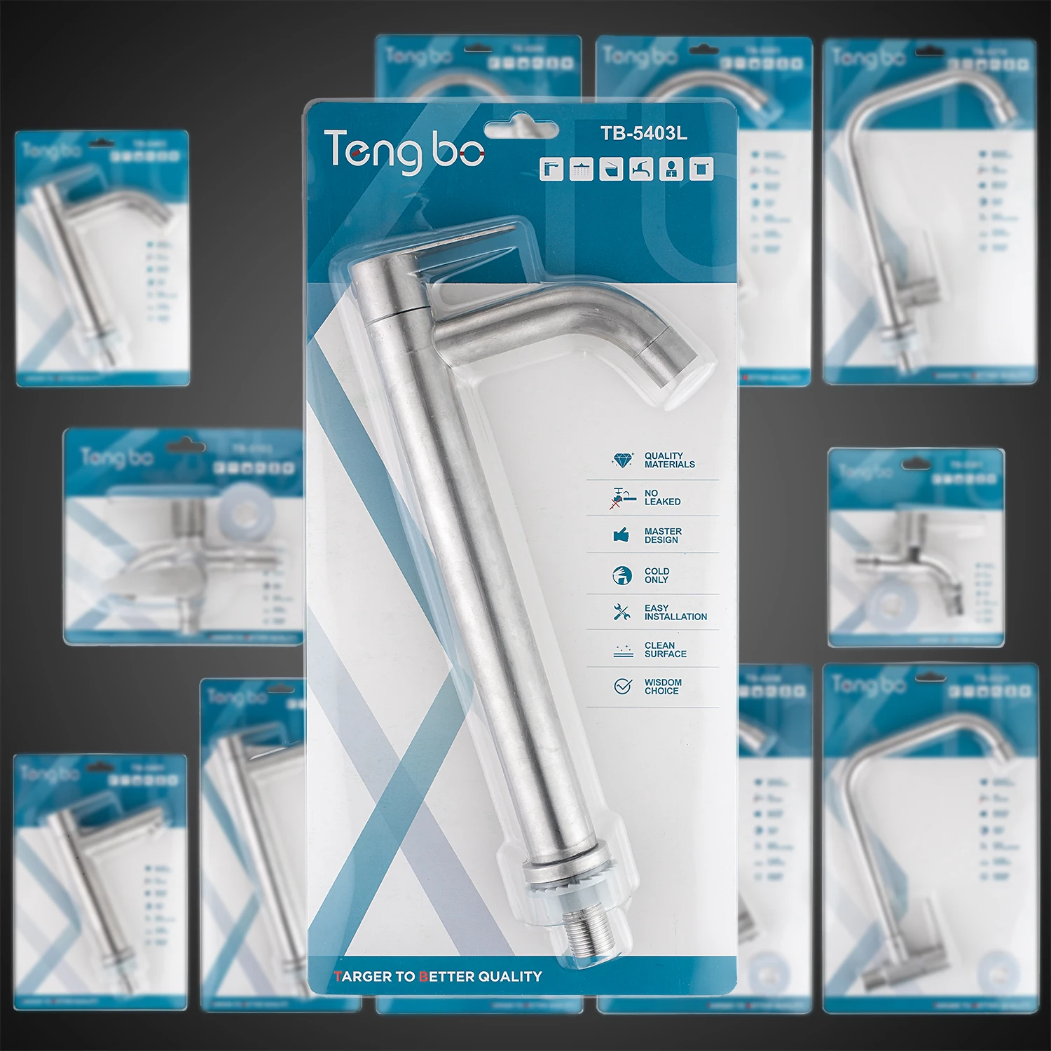 TB-5403L Tengbo Sus Stainless Steel 304 bathroom tall body Cold Water Tap Faucet Wash Basin