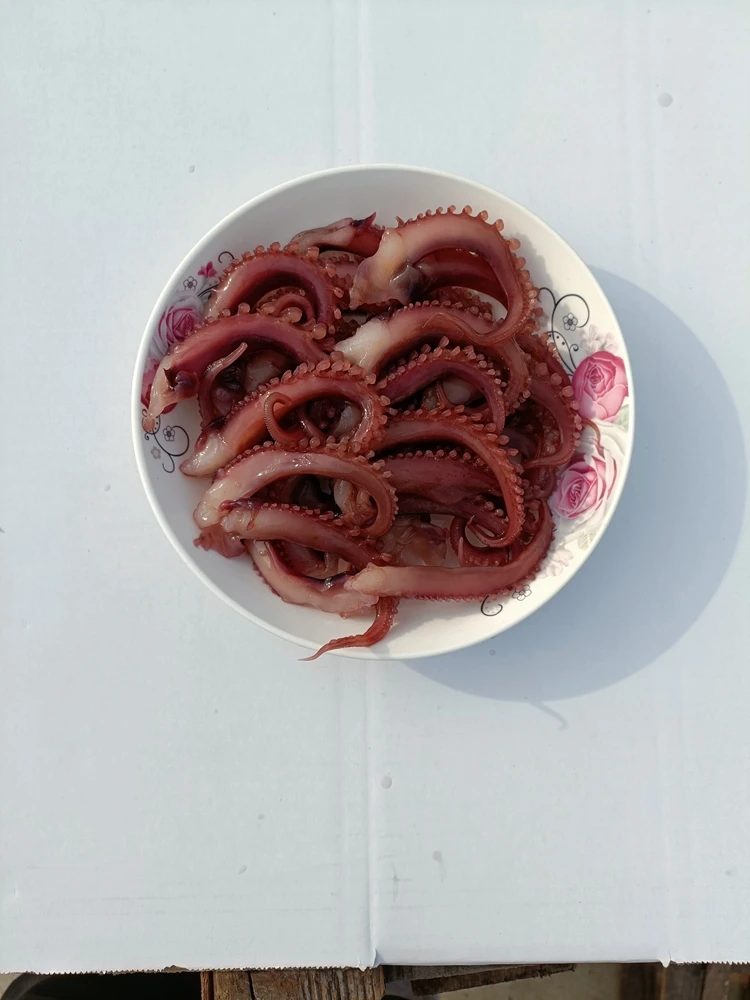 Factory Supply Attractive Price Frozen Squid Tentacle Dice Seafood Importer squid snack seafood china