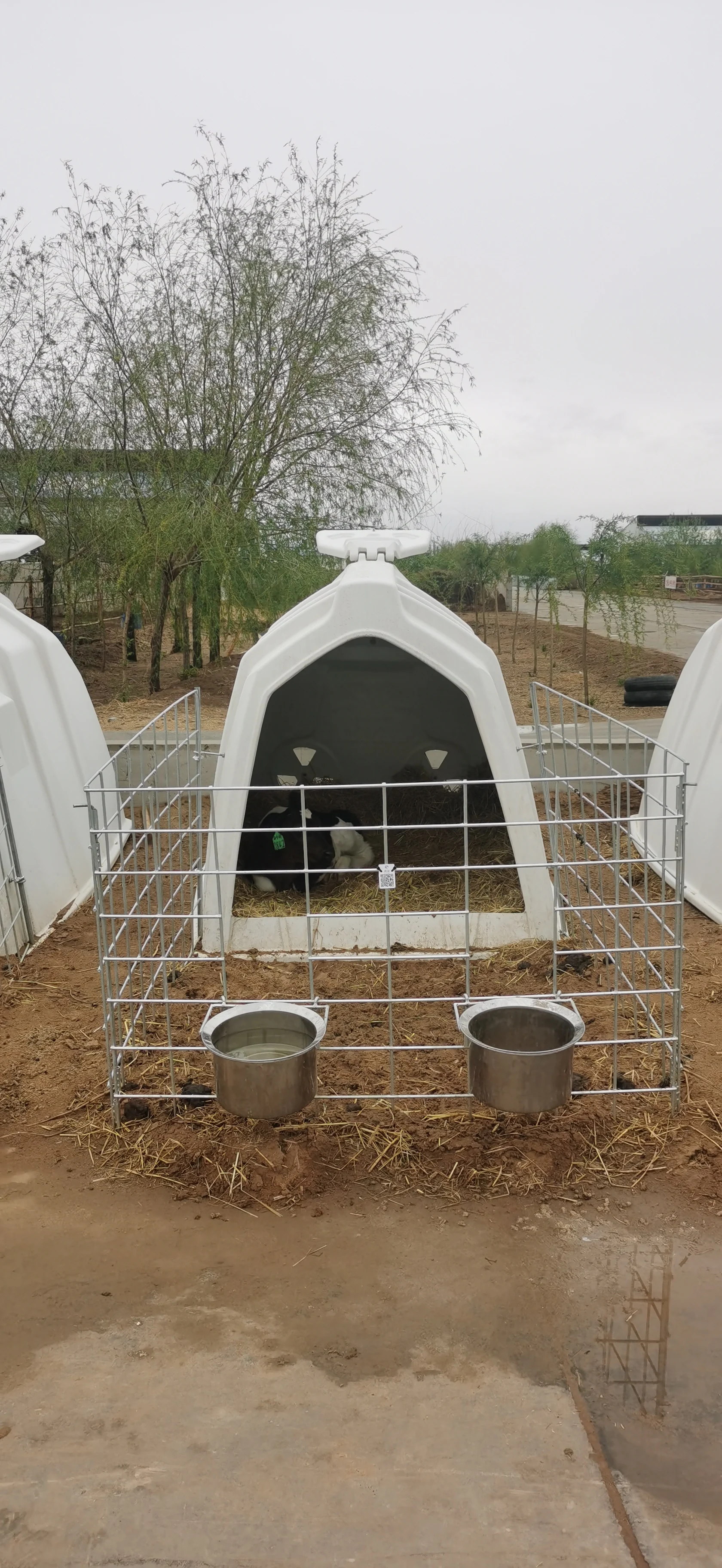 High Quality Comfortable Calf Hutch  Farm Equipment Cheap Plastic Diary Cow Comfortable Livestock House With Young Sheep