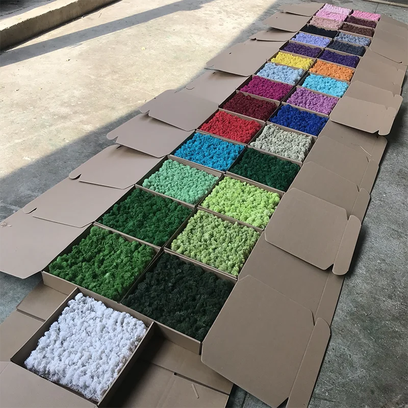 Free size artificial real preserved live moss wall art moss Picture Frame decorations panel artificial moss grass wall