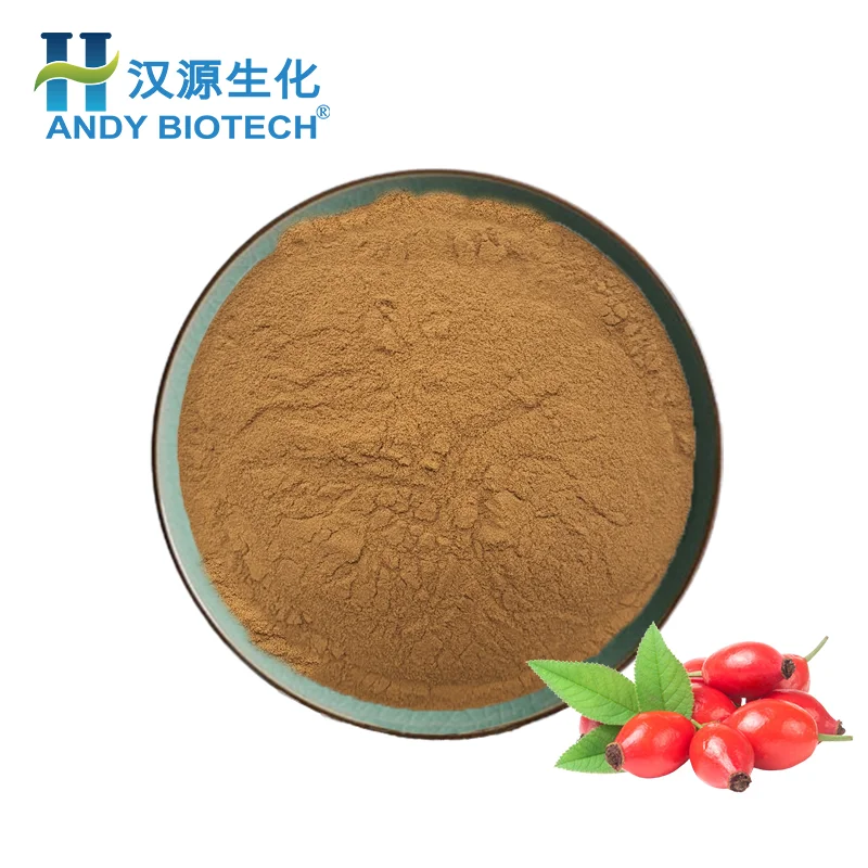 Bulk Price Natural Rose Hip Polyphenols Rosehip Powder Rose Hip Extract