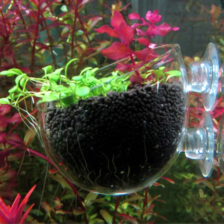 BRICE Succulents Cactus Fish Tank Planter Plant Pot with Shelf Suction Cup Round Shape Window Planter Suction Cup Plant Pot