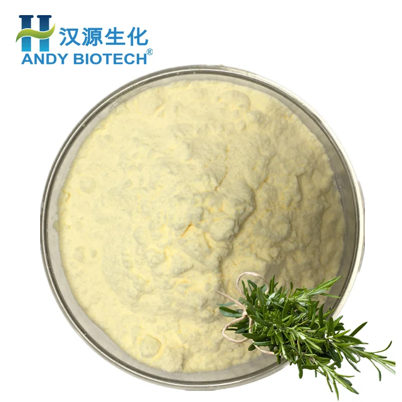 High Quality Rosemary Extract Rosemary Leaf Extract  25% Ursolic Acid Powder