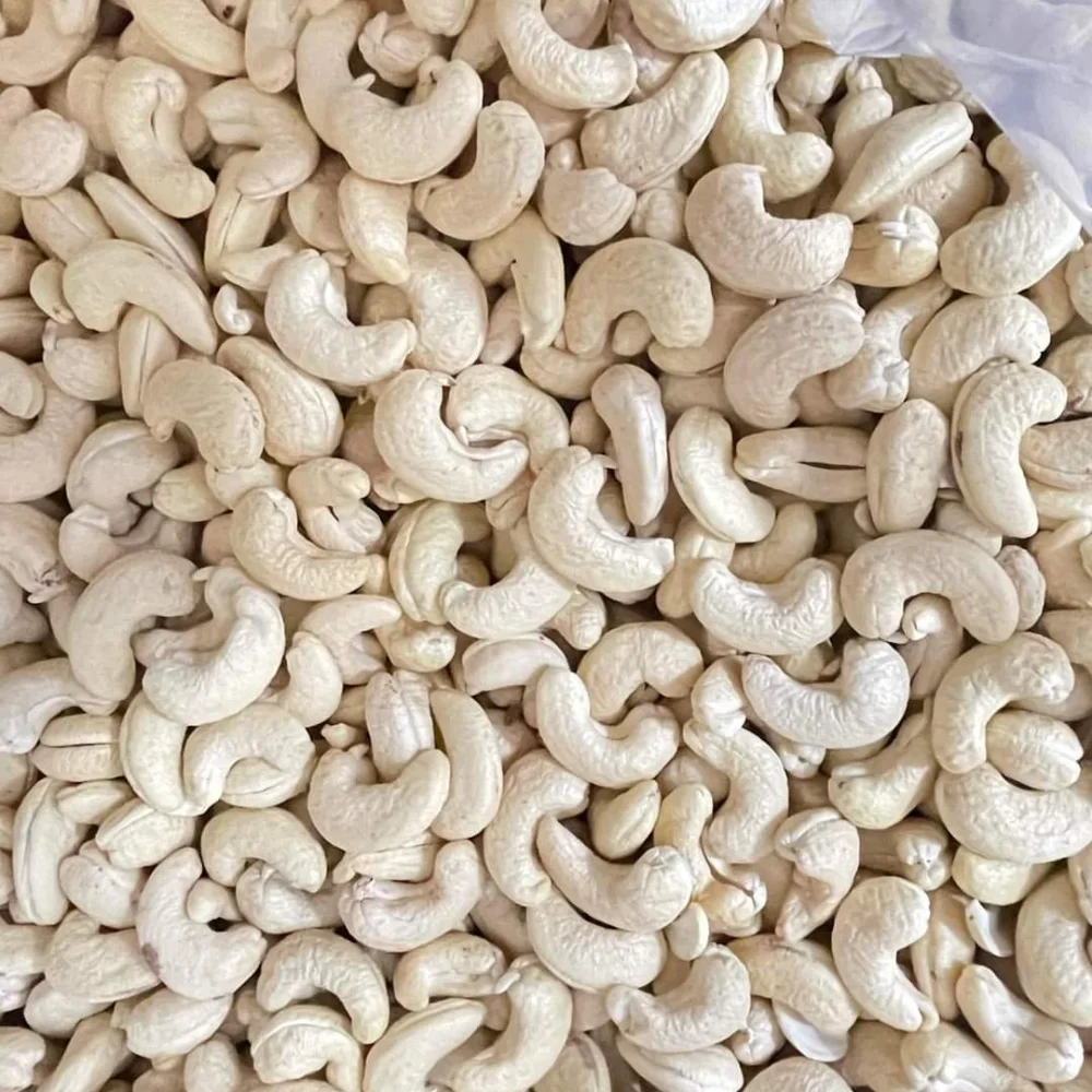 Hot Sale Customized Cutting Size Kaju Nuts From Vietnam Roasted Raw W180/W320/W240 Grade Cashew Nuts Dried Fruit AFI Certified