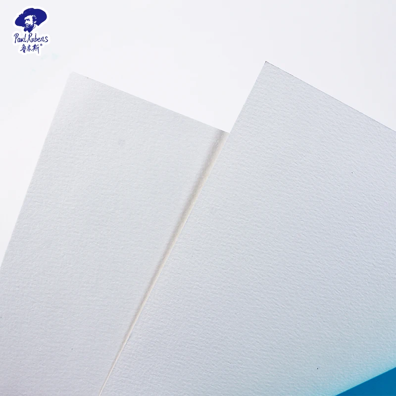 Paul Rubens Handmade Watercolor Paper 5Sheet Professional Artist 100% cotton 450GSM Coarse Grain Collection Series 22x30 Inches
