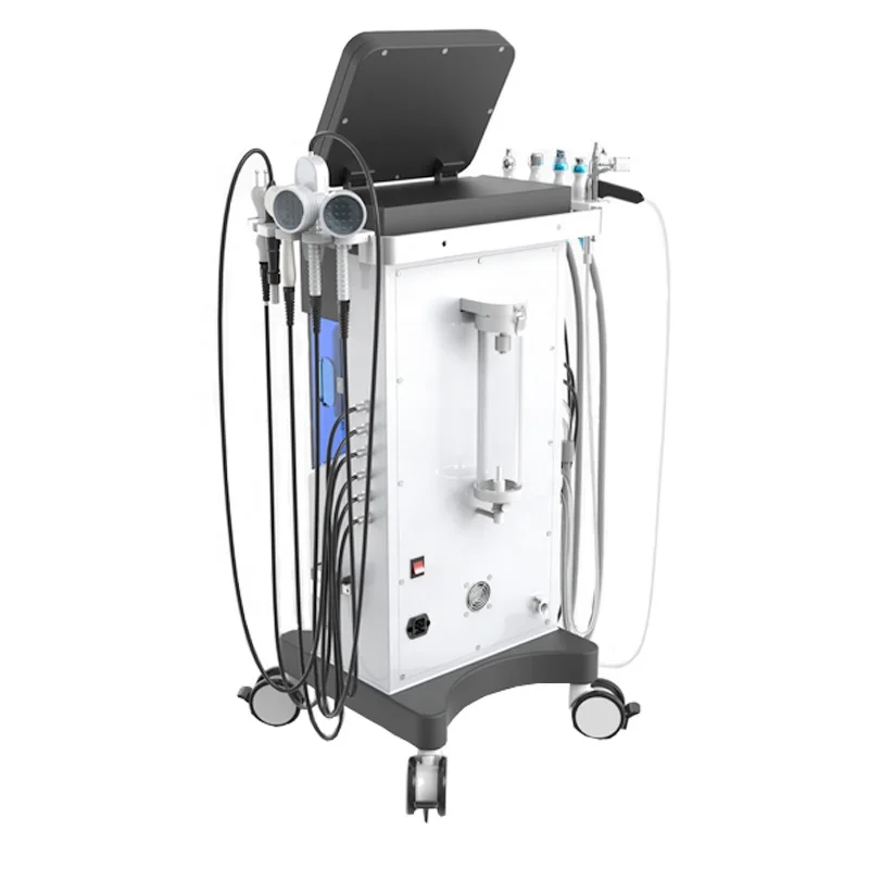 Niansheng 10 in 1 dermabrasion Water aqua oxygen hydra cleaning Hydrofacials microdermabrasion facial machine