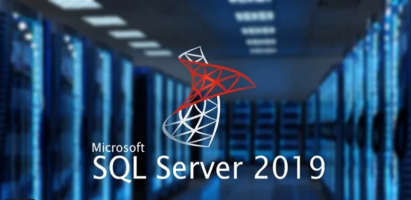 SQL Server 2019 Standard 24 Core Unlimited User License Digital Revolution Soft official Microsoft partner