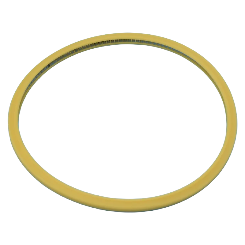 PTFE/F4 Spring Energized Seal  PTFE Piston Seal