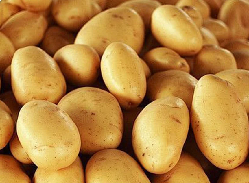 Organic Freeze-Dried Baked Potato Style Whole Freshness and Flavor Preserved Bulk FD Drying Process