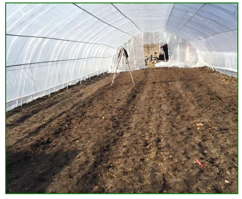 Manufacturer wholesale single arch shed internal and external thermal insulation strawberry greenhouse