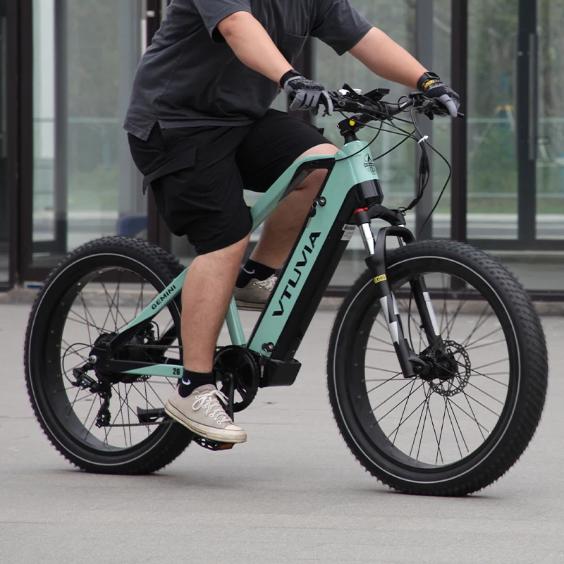 Customized 750w1000w fat tire customized dual battery electric bike electric mountain bike full suspension 52v e bikes