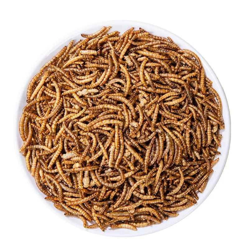oem odm Dried bread worms wholesale dried yellow mealworms pet food bird food feed hamster snacks ornamental fish turtle food