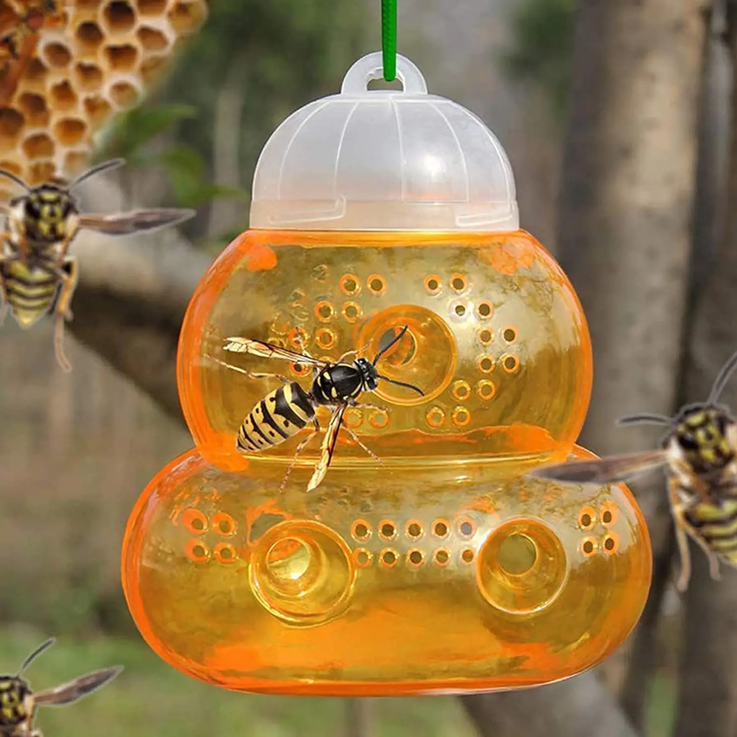 HeavyDuty Wasp Trap for Outdoor Use Hornet Traps Catcher with Hanging Design